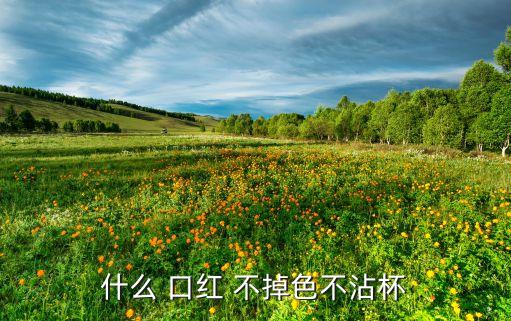 口紅不掉色用化妝水,口紅有不掉色不沾杯的嗎...